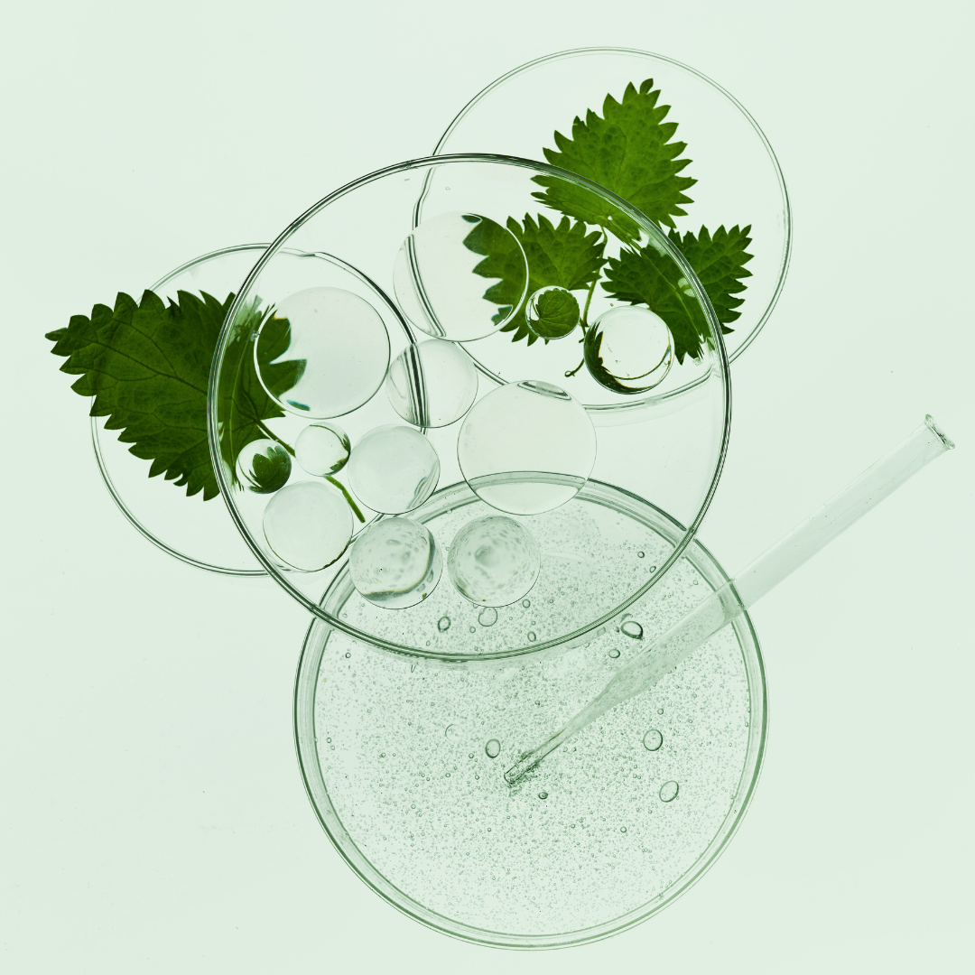 Plant Extracts in Skincare